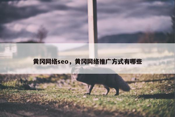 黄冈网络seo，黄冈网络推广方式有哪些