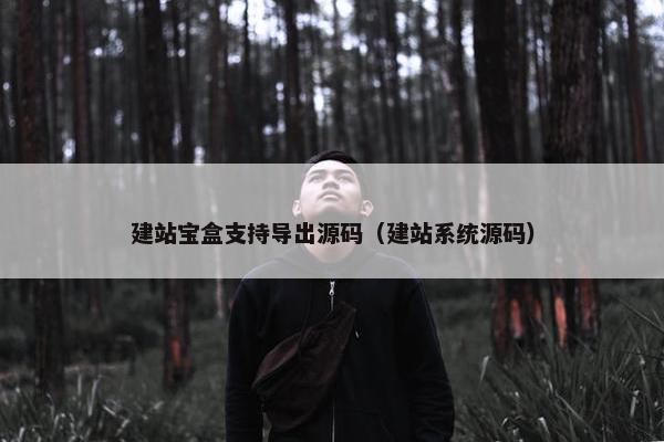 建站宝盒支持导出源码（建站系统源码）