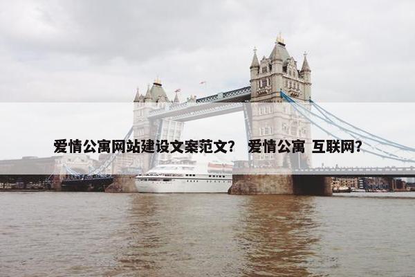 爱情公寓网站建设文案范文？ 爱情公寓 互联网？