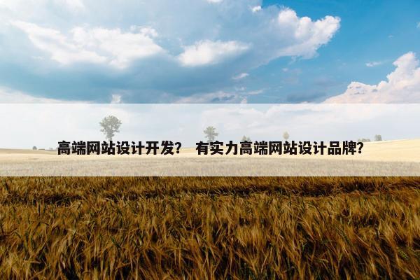 高端网站设计开发？ 有实力高端网站设计品牌？