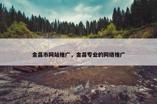 金昌市网站推广，金昌专业的网络推广