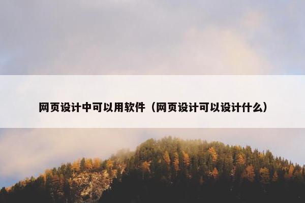 网页设计中可以用软件（网页设计可以设计什么）