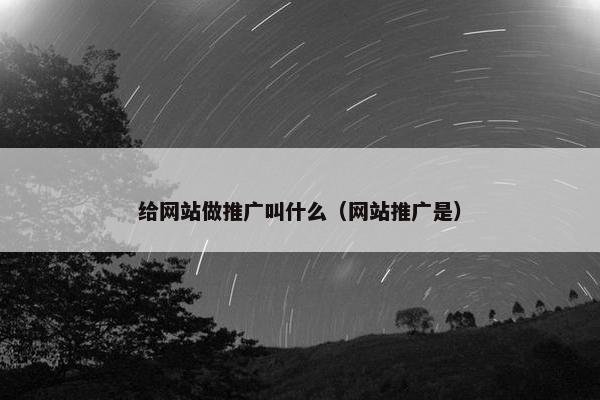 给网站做推广叫什么（网站推广是）