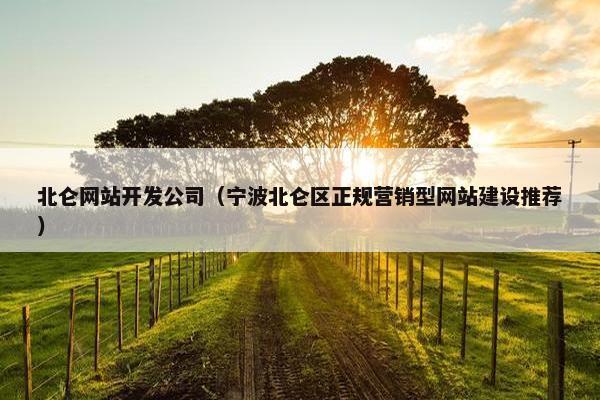 北仑网站开发公司（宁波北仑区正规营销型网站建设推荐）