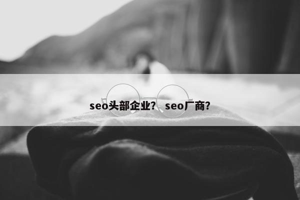seo头部企业？ seo厂商？