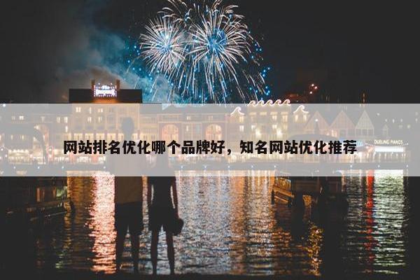 网站排名优化哪个品牌好，知名网站优化推荐