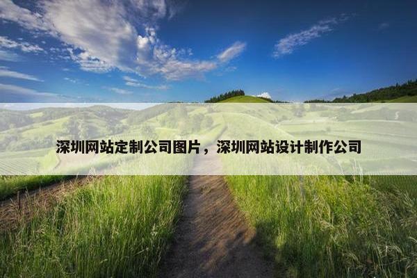 深圳网站定制公司图片，深圳网站设计制作公司