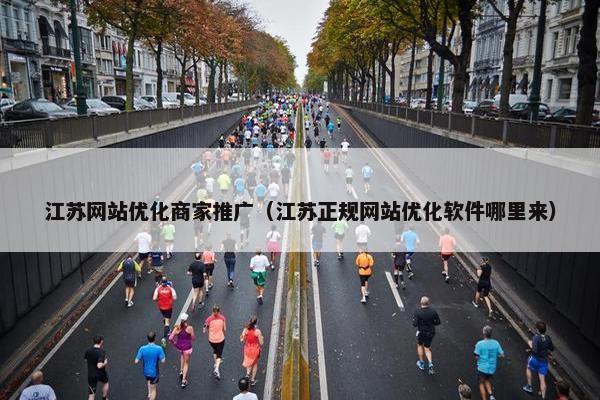 江苏网站优化商家推广（江苏正规网站优化软件哪里来）