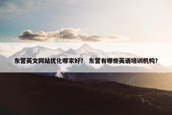 东营英文网站优化哪家好？ 东营有哪些英语培训机构？