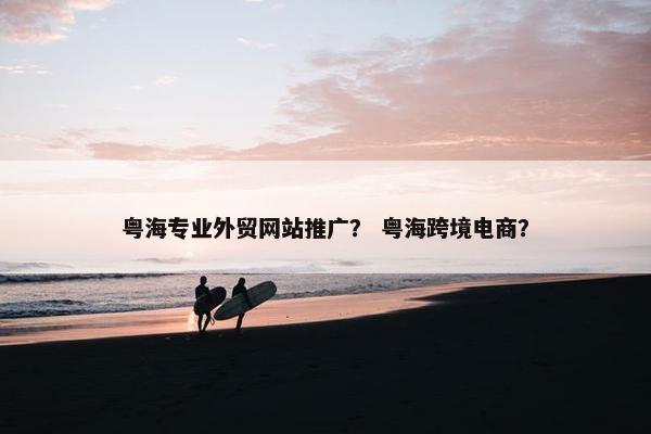 粤海专业外贸网站推广？ 粤海跨境电商？