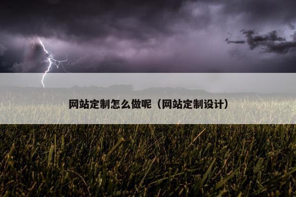 网站定制怎么做呢（网站定制设计）