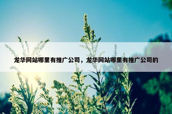 龙华网站哪里有推广公司，龙华网站哪里有推广公司的