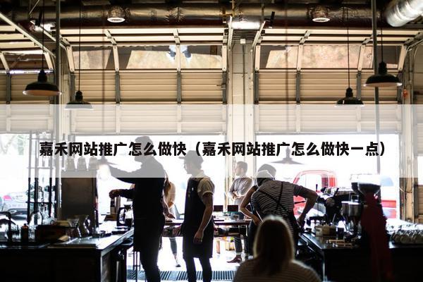 嘉禾网站推广怎么做快（嘉禾网站推广怎么做快一点）