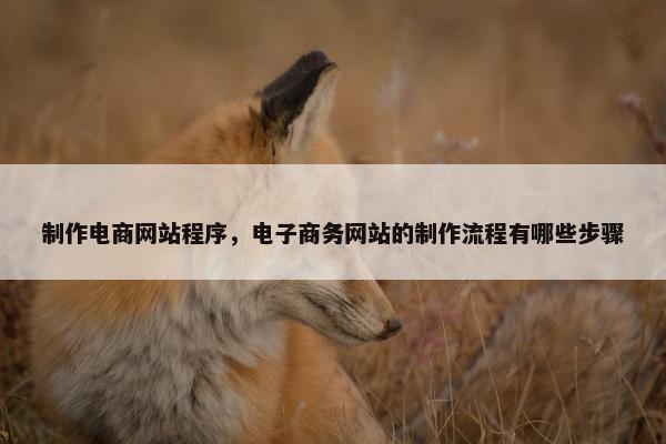 制作电商网站程序，电子商务网站的制作流程有哪些步骤
