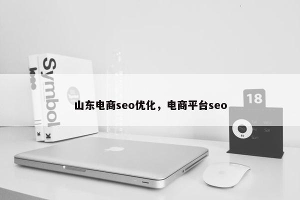 山东电商seo优化，电商平台seo
