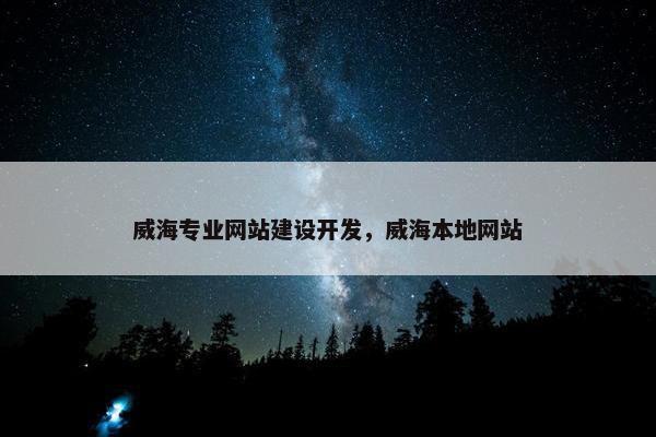 威海专业网站建设开发，威海本地网站