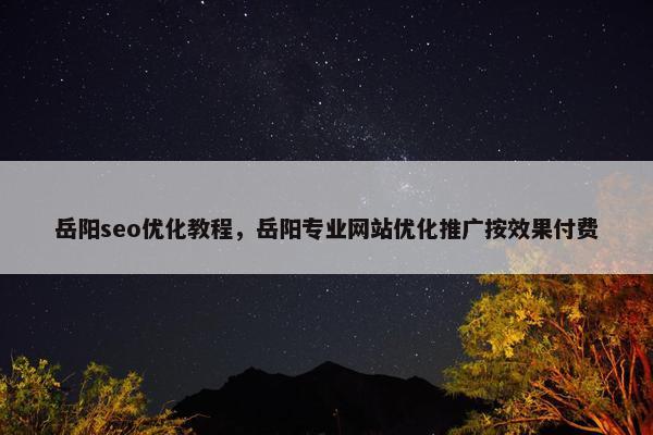 岳阳seo优化教程，岳阳专业网站优化推广按效果付费