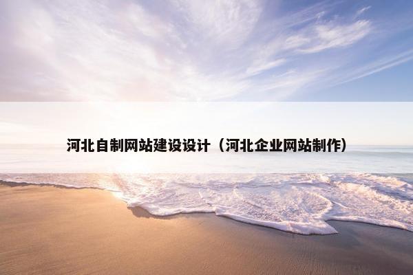 河北自制网站建设设计（河北企业网站制作）