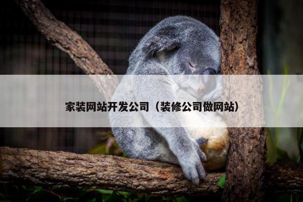 家装网站开发公司（装修公司做网站）