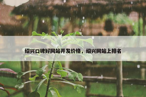 绍兴口碑好网站开发价格，绍兴网站上排名