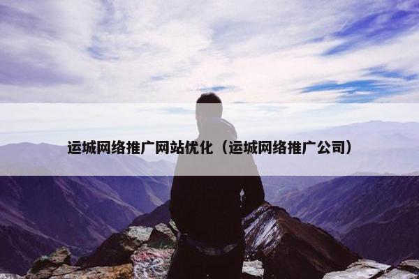 运城网络推广网站优化（运城网络推广公司）