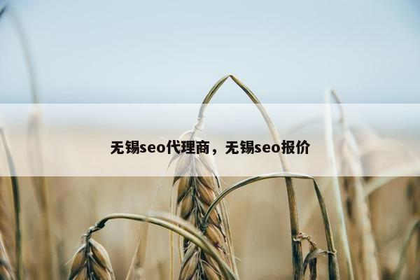 无锡seo代理商，无锡seo报价