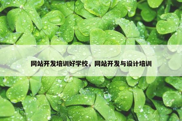 网站开发培训好学校，网站开发与设计培训