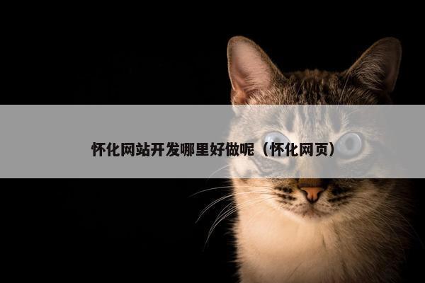 怀化网站开发哪里好做呢（怀化网页）