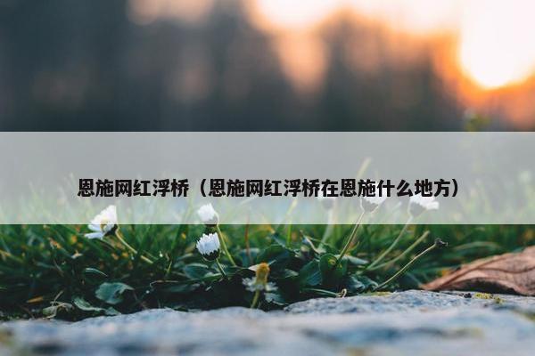 恩施网红浮桥（恩施网红浮桥在恩施什么地方）