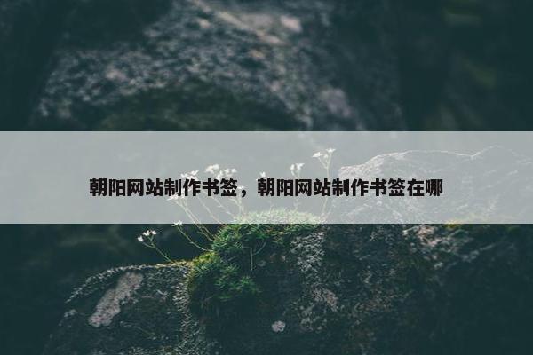 朝阳网站制作书签，朝阳网站制作书签在哪