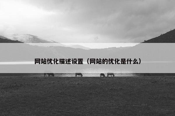 网站优化描述设置（网站的优化是什么）
