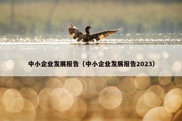 中小企业发展报告（中小企业发展报告2023）