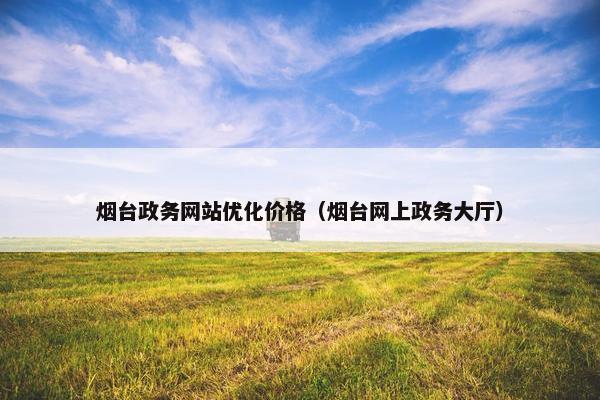 烟台政务网站优化价格（烟台网上政务大厅）