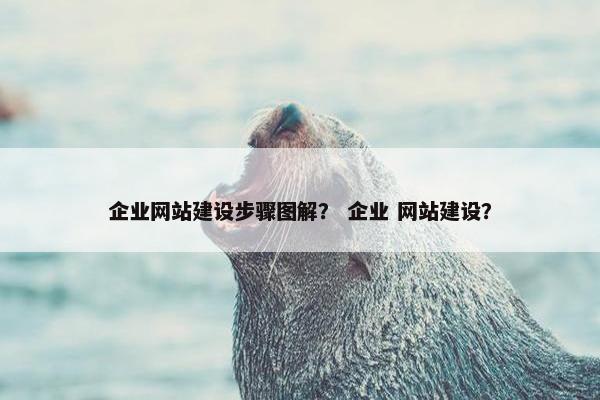 企业网站建设步骤图解？ 企业 网站建设？