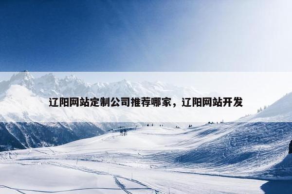 辽阳网站定制公司推荐哪家，辽阳网站开发