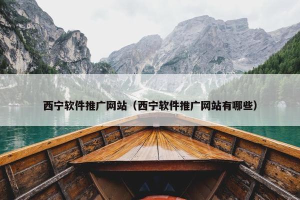 西宁软件推广网站（西宁软件推广网站有哪些）