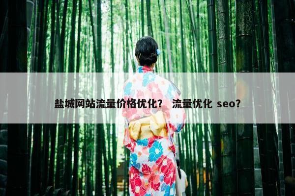 盐城网站流量价格优化？ 流量优化 seo？
