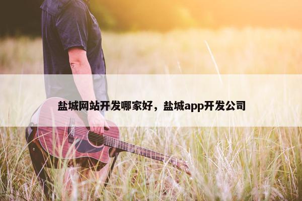 盐城网站开发哪家好，盐城app开发公司