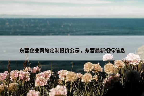 东营企业网站定制报价公示，东营最新招标信息