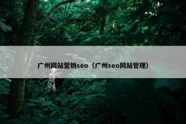 广州网站营销seo（广州seo网站管理）