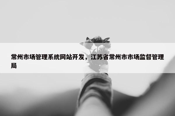 常州市场管理系统网站开发，江苏省常州市市场监督管理局