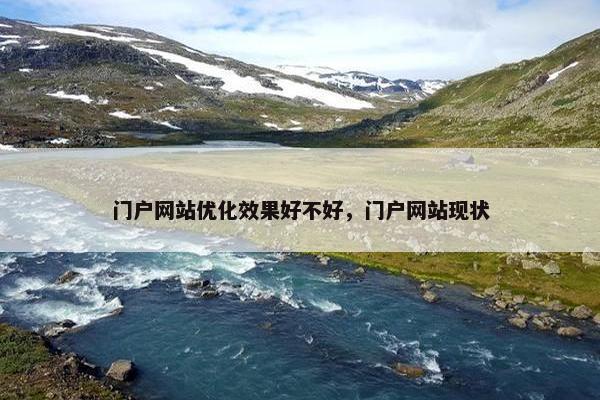 门户网站优化效果好不好，门户网站现状