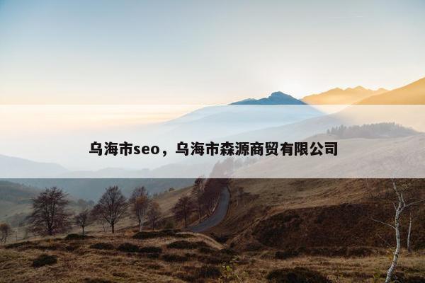乌海市seo，乌海市森源商贸有限公司