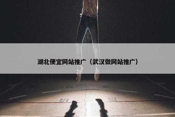 湖北便宜网站推广（武汉做网站推广）