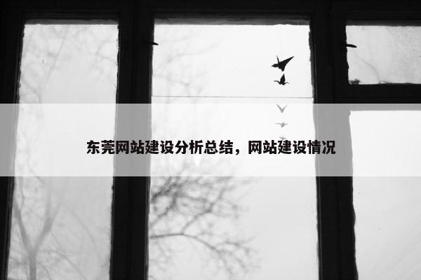 东莞网站建设分析总结，网站建设情况