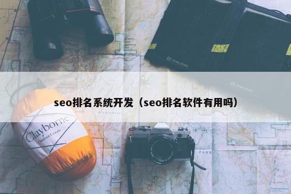 seo排名系统开发（seo排名软件有用吗）