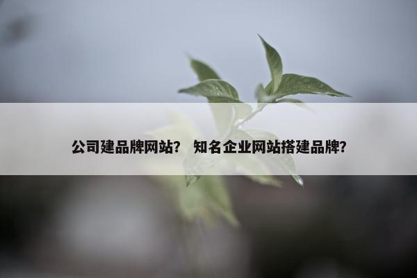 公司建品牌网站？ 知名企业网站搭建品牌？
