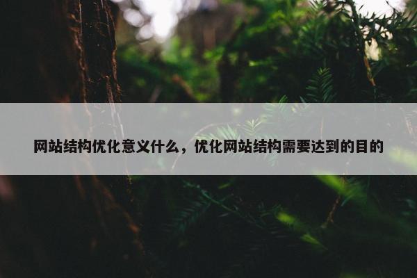 网站结构优化意义什么，优化网站结构需要达到的目的