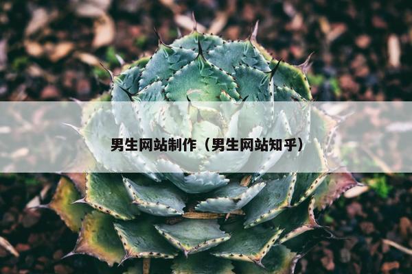 男生网站制作（男生网站知乎）