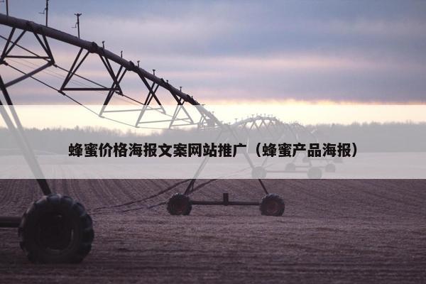 蜂蜜价格海报文案网站推广（蜂蜜产品海报）